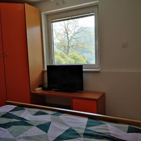 Apartment Zadraga Tolmin Exterior foto